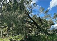  Brush  Busters LLC